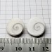 Shiva Eye Shell Kabaşon - 2 adet